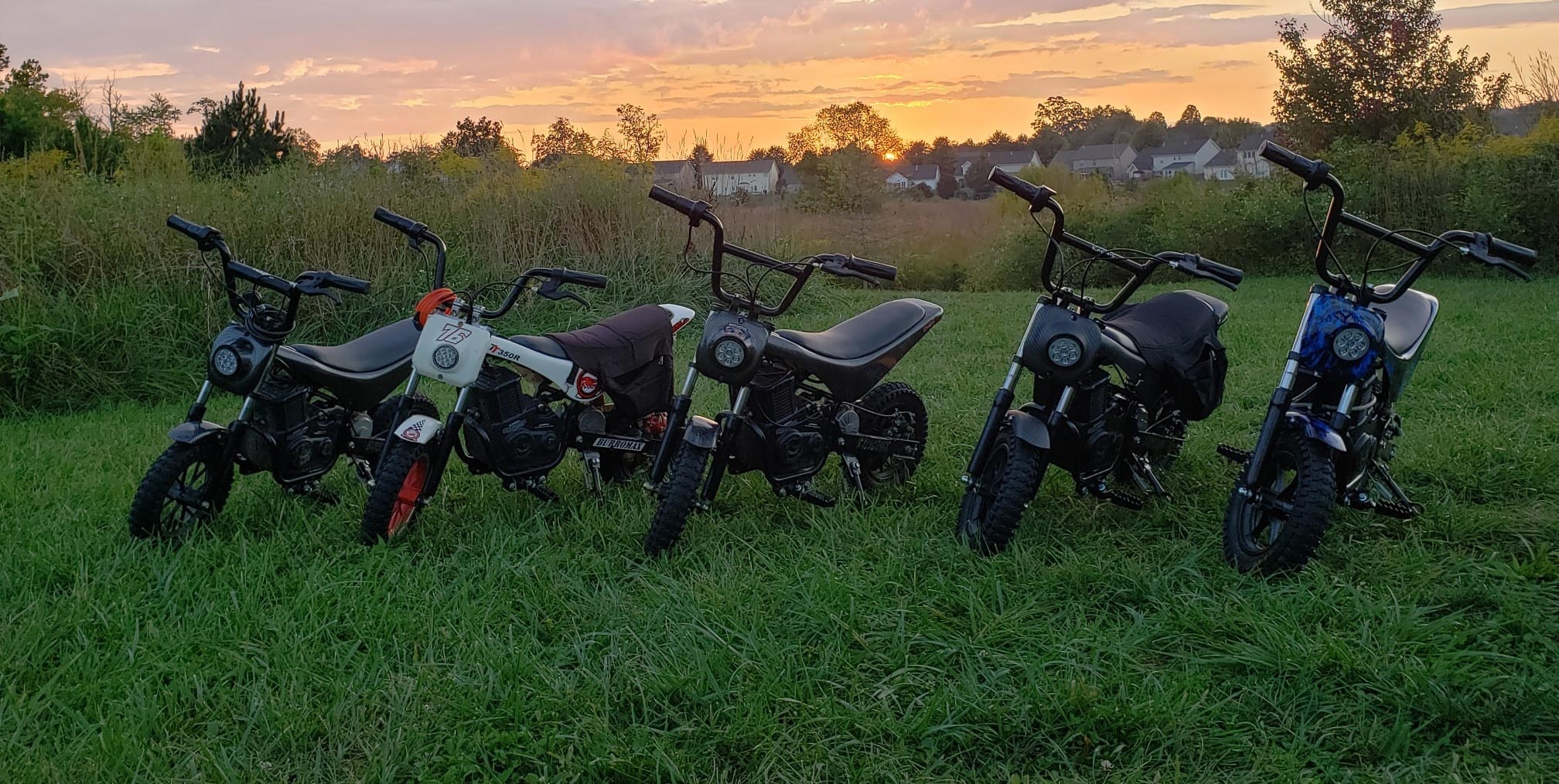 5 iconic electric minibikes in green paddock