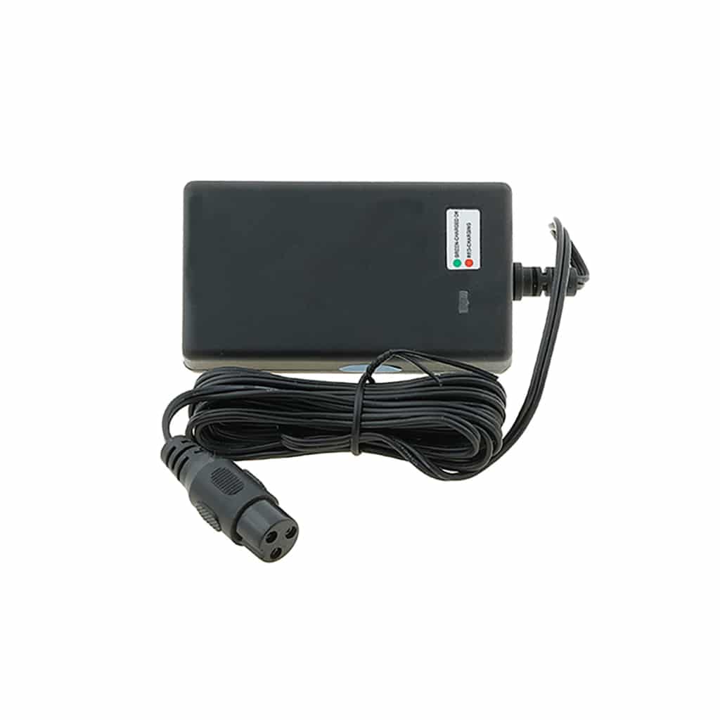 Battery Charger For TT250 Iconic Mini Bikes battery-charger-for-tt250-iconic-mini-bikes